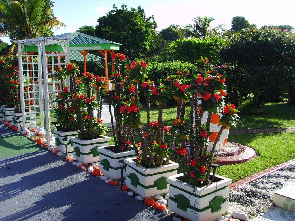Villa Ludivine Sainte-Anne  Phòng bức ảnh